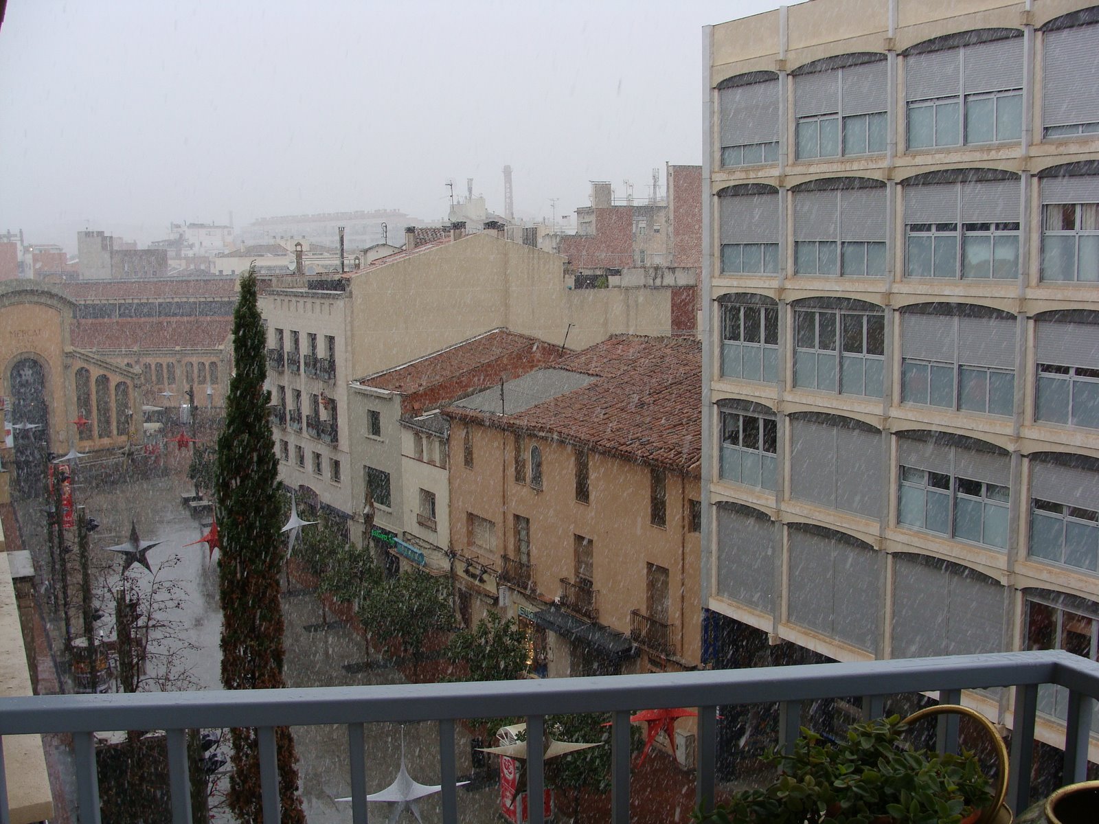 [DSC08392.JPG]