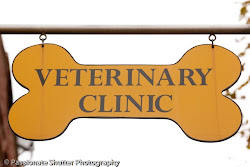 Welcome To The VERY First Bed-Stuy Vet Animal Clinic CALL 877-628-2451
