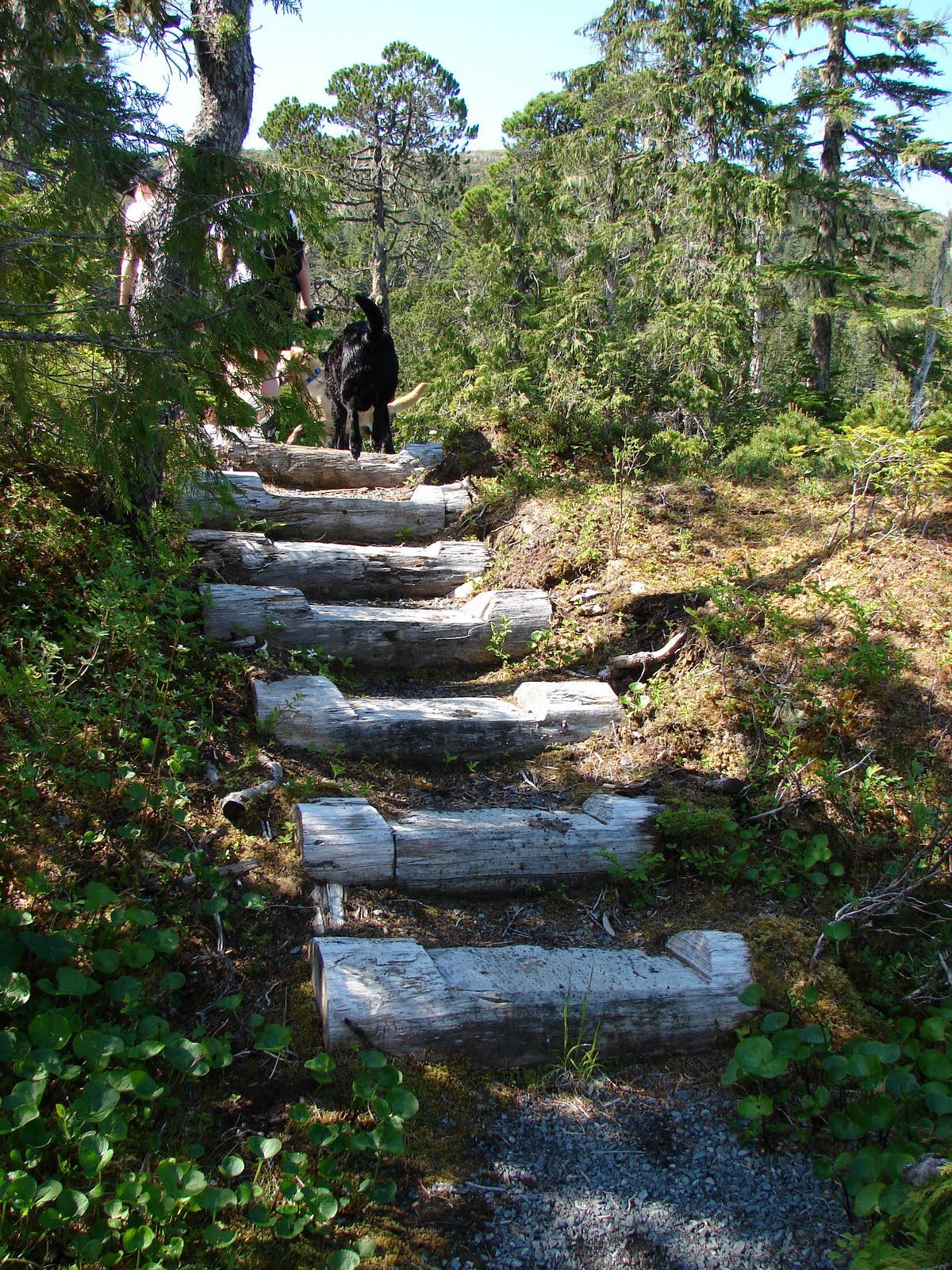 Larsens do Alaska Hiking Herring Cove Sitka,AK.