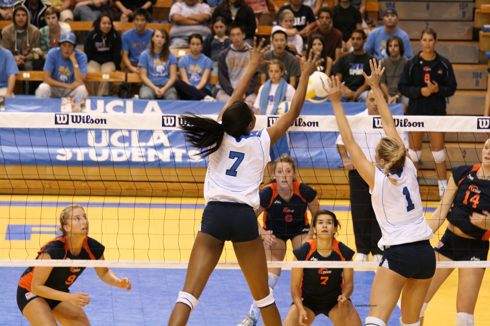 Volleyball Girls Pictures More UCLA college volleyball team