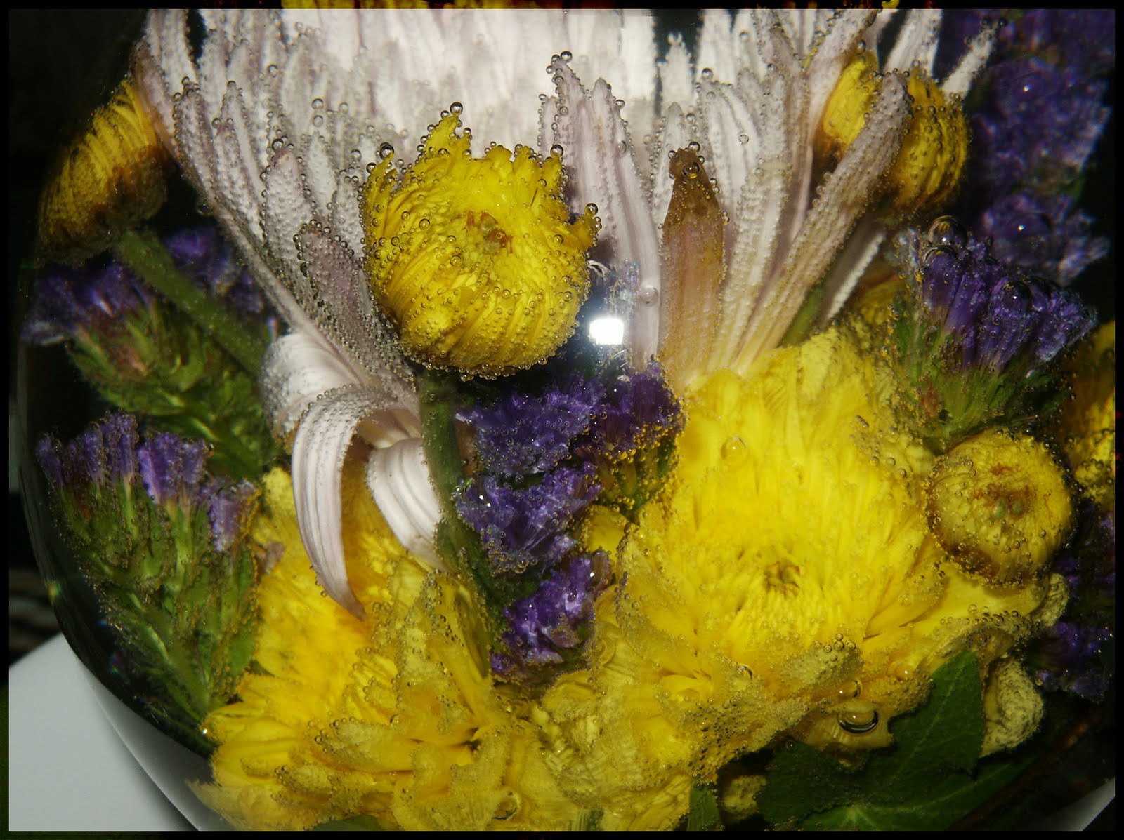 YARDEN COLLECTIONS Flower aquarium.