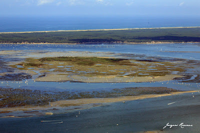 Vue aérienne de l'Ile aux oiseaux sur le Bassin d'Arcachon