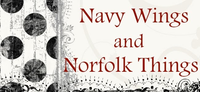Navy Wings and Norfolk Things