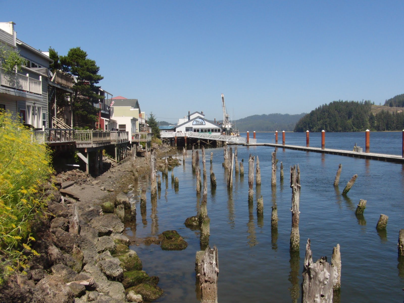 RV along the Oregon Coast Pacific Pines RV Park, Florence, OR