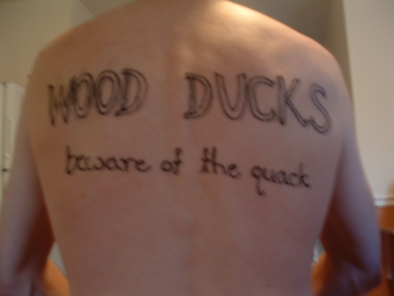 [Wood+duck]