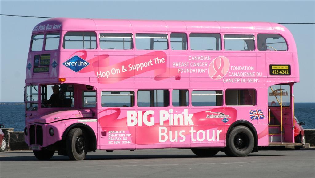 big pink bus
