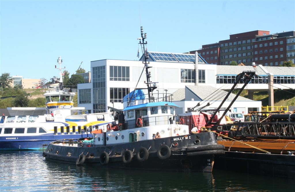 [Molly+M+1+(Large).JPG]