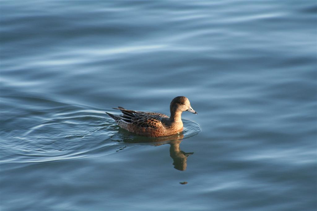 [IMG_1605+(Large).JPG]