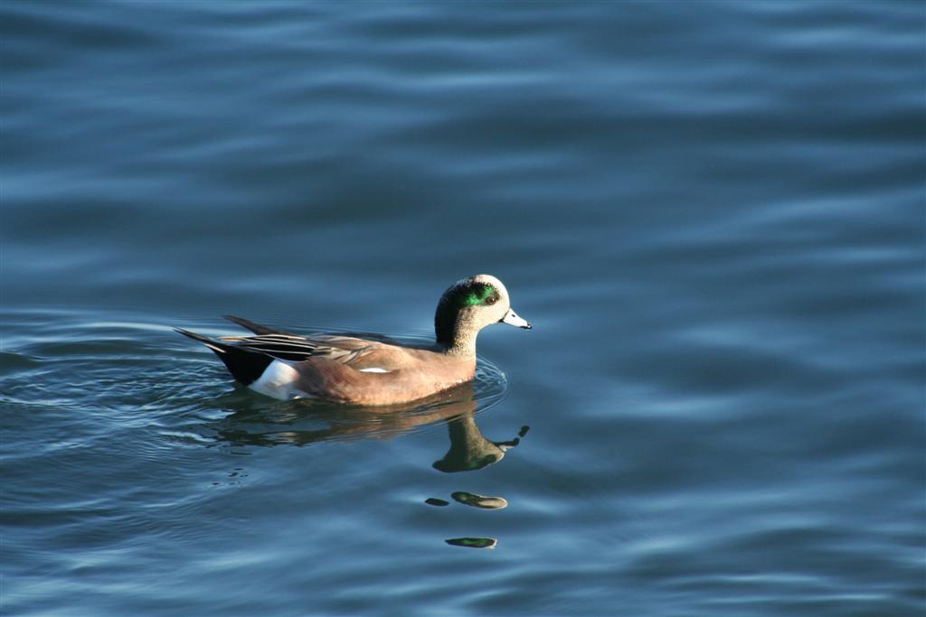 [IMG_1614+(Large).JPG]