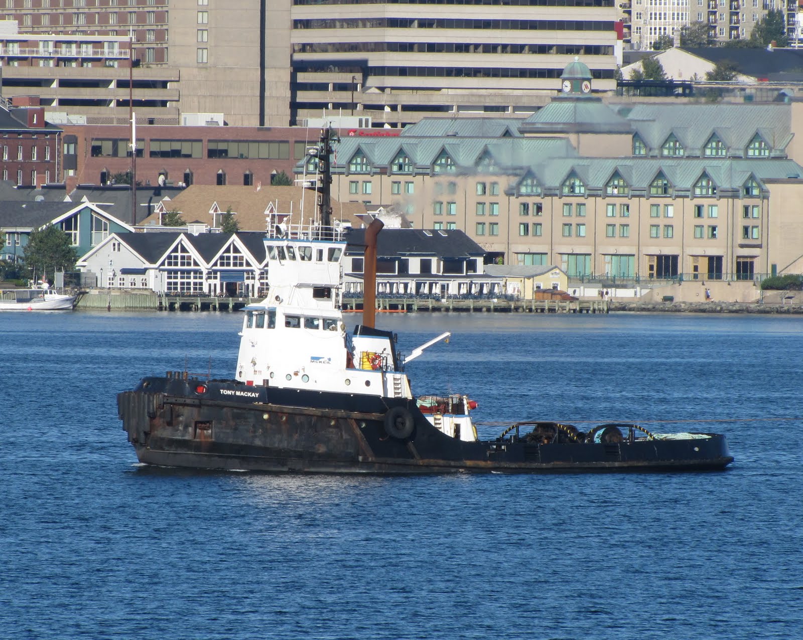 Tugfax Tony MacKay returns to old roost.