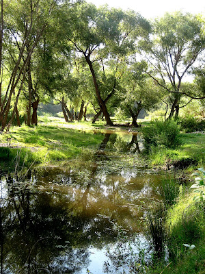 ponds ponds