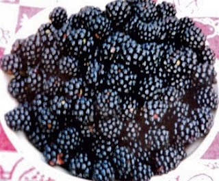Blackberries in dreams