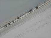 Sneeuw in de Beemster