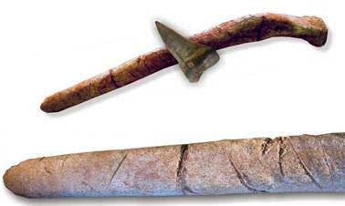 [shark-bite-marks-100317-02.jpg]