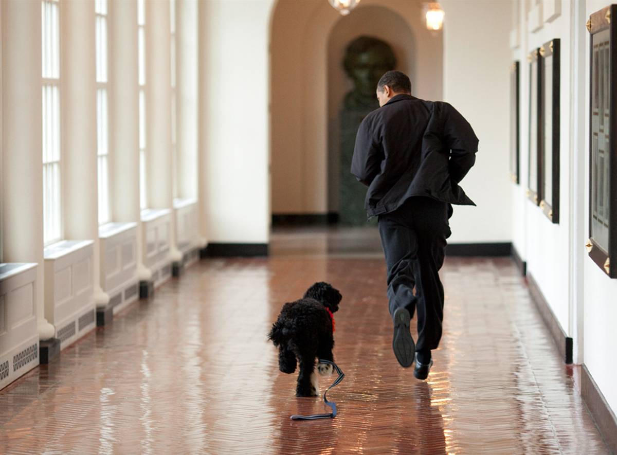 [Obama_runs_Dog.jpg]