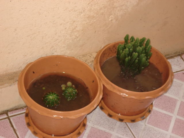 [DSC03476.JPG]
