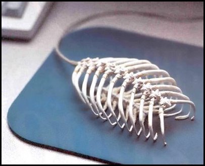 [dead_mouse.jpg]