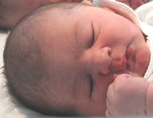 [giulio+d'avenia+(1)[2].JPG]