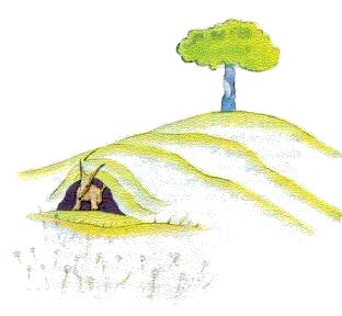 [piccolo_principe_volpe1.jpg]