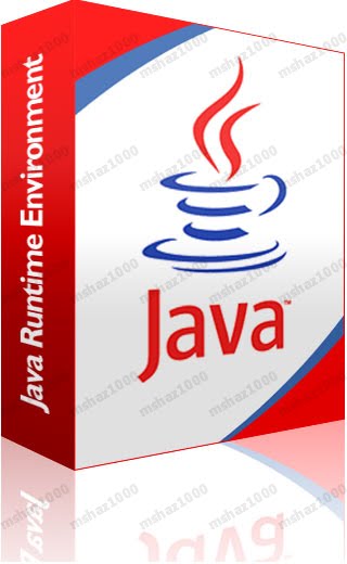 [JavaRuntimeEnvironment.bmp]