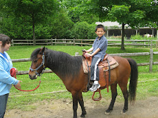 Riding the pony at the zoo