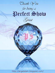 My Interview - Perfect Show