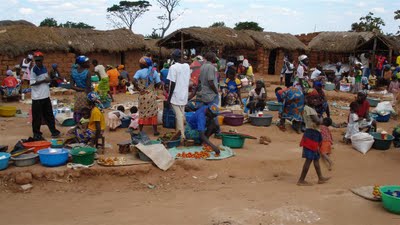 [DSC00845+(Large).JPG]