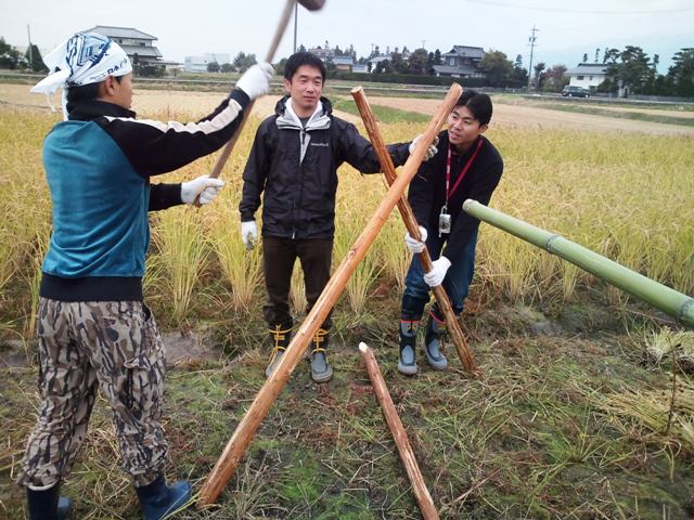 [稲刈り+006web.jpg]