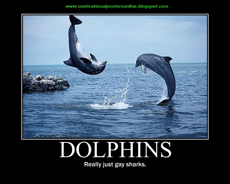 http://1.bp.blogspot.com/_4s5pmFL_ZlQ/TI4zwGn0u6I/AAAAAAAAEWE/0tRwq8_uhg4/s1600/dolphins+miami+gay+sharks+motivational+posters+online+funny+hot+blogs+wallpapers+inspirational.jpg