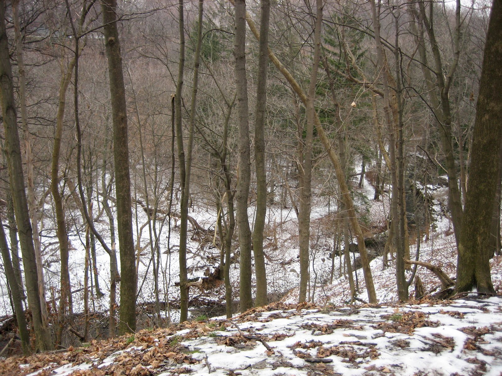 [IMG_2448.JPG]