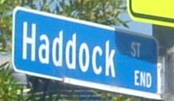 Haddock Family Blog!