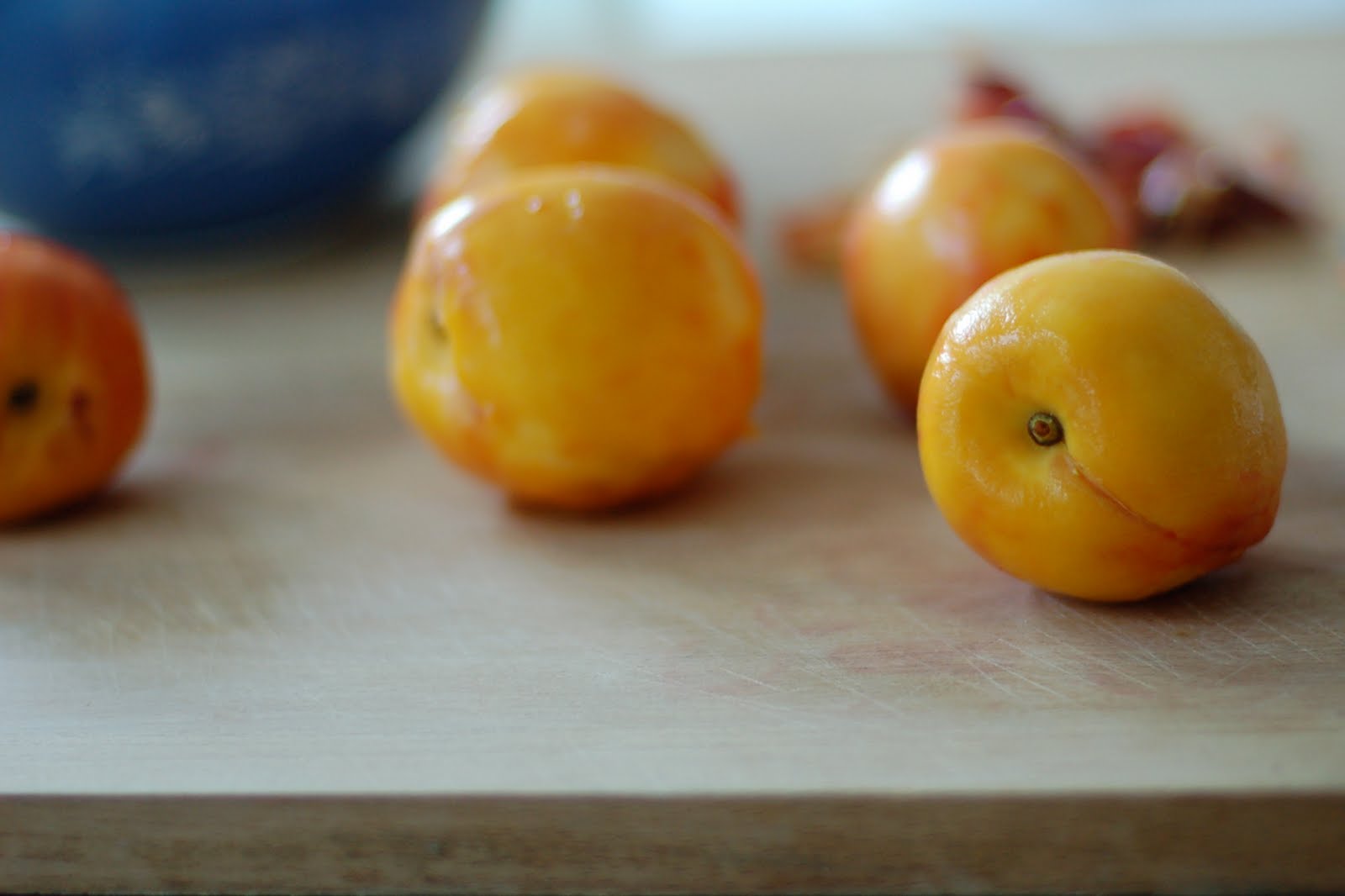 easy peachy, i mean peasy. a Friend to knit with