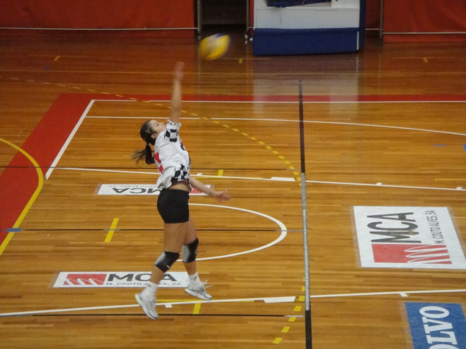 [DSC02208.JPG]