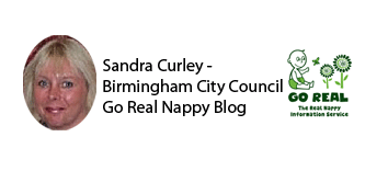 Sandra Curley, Go Real Nappy Blog