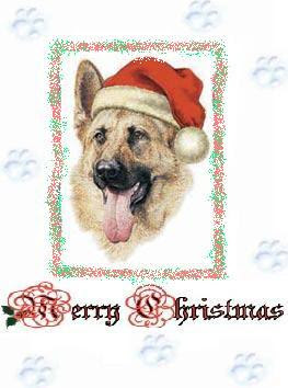 german shepherd dog christmas wishes, merry christmas dog, merry christmas GSD, christmas wishes to dog lovers, german shepherd dog christmas wishes, merry christmas dog, merry christmas GSD, christmas wishes to dog lovers