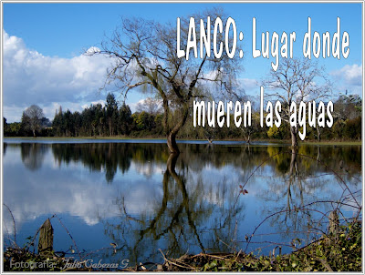 lanco chile