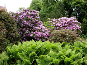 Gartenarbeit Ideen Ein Pflegeleichter Und Rerasentativer Garten