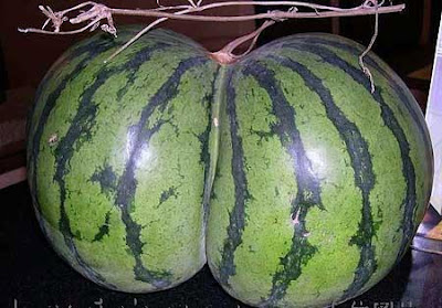 Beautiful and Sexy nature pictures
