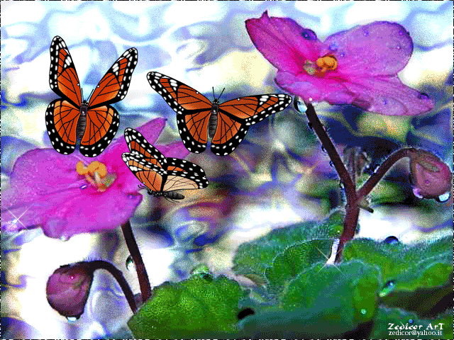 flores no jardim frases:Blog da Joaninha: Frases sobre Jardins e Borboletas flores no jardim frases:Blog da Joaninha: Frases sobre Jardins e Borboletas