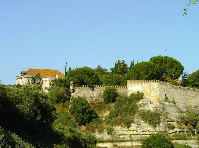 a detail from the walls