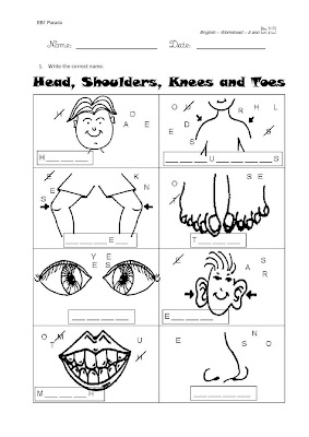 Human Body Worksheets