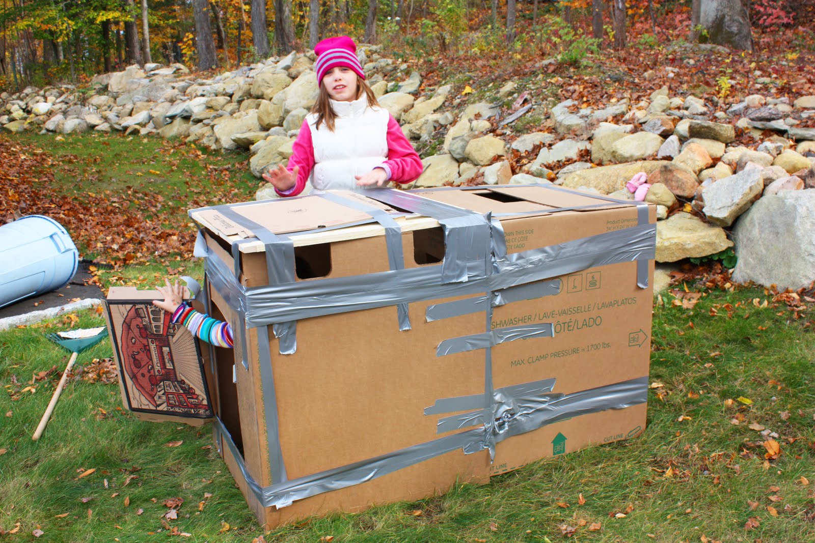 Cardboard Box House Homeless