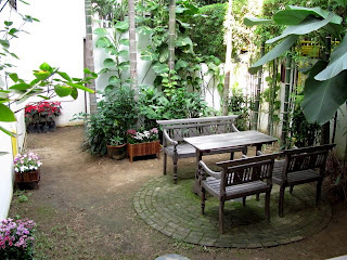 The Rainforest Garden New Southeast Asian Garden Ideas