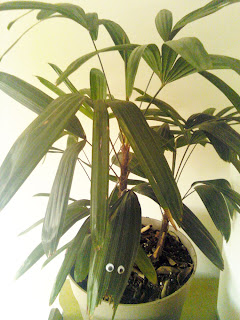 The Rainforest Garden: I Put Googly Eyes on My Plants!