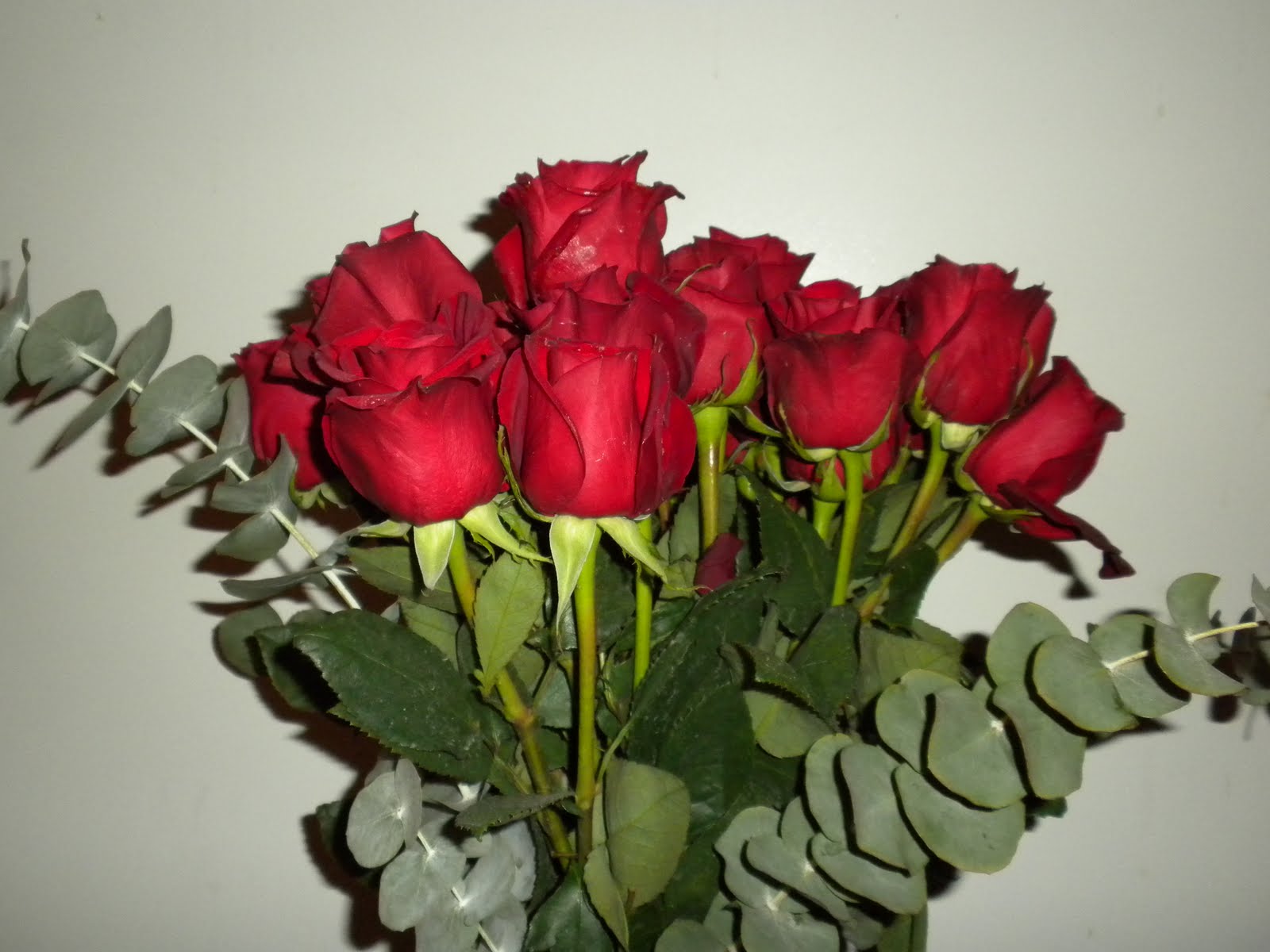 [Roses.JPG]