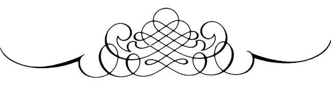 Artistic Squiggle