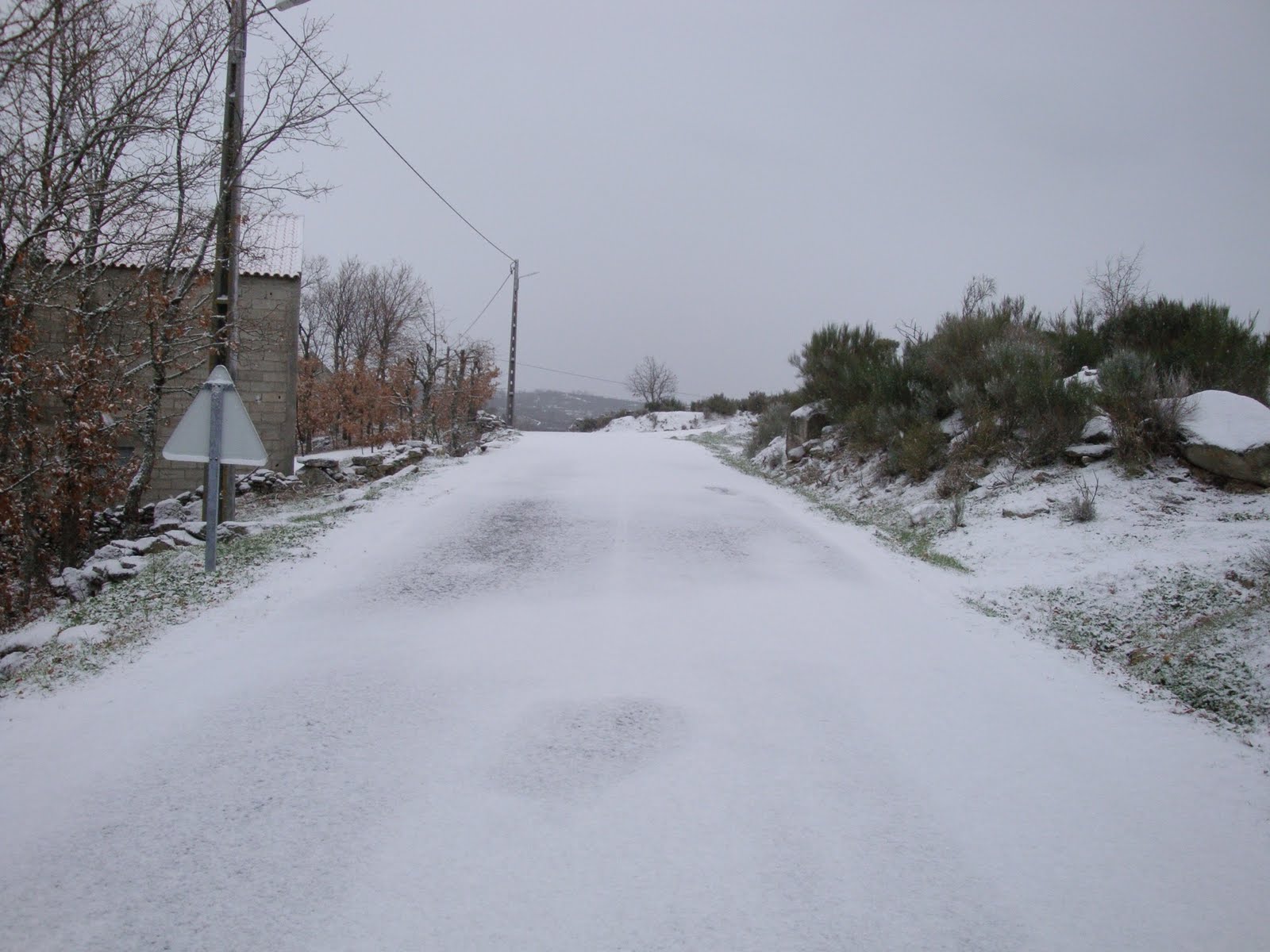 [DSC01291.JPG]