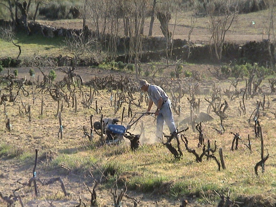 [DSC00815.JPG]