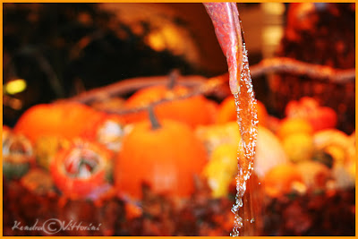Acqua e zucche