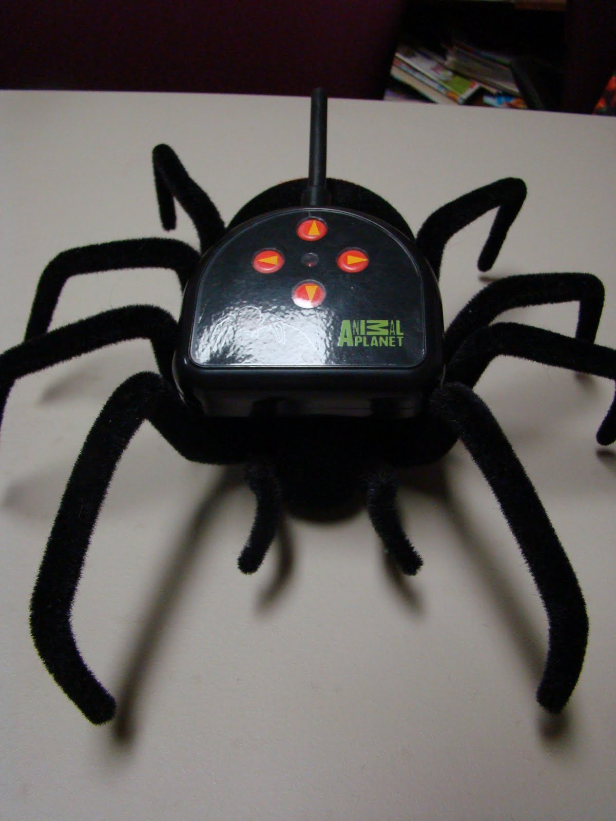 PI of Products Holiday Hoopla Gift Guide Event Animal Radio Control Black Widow Spider